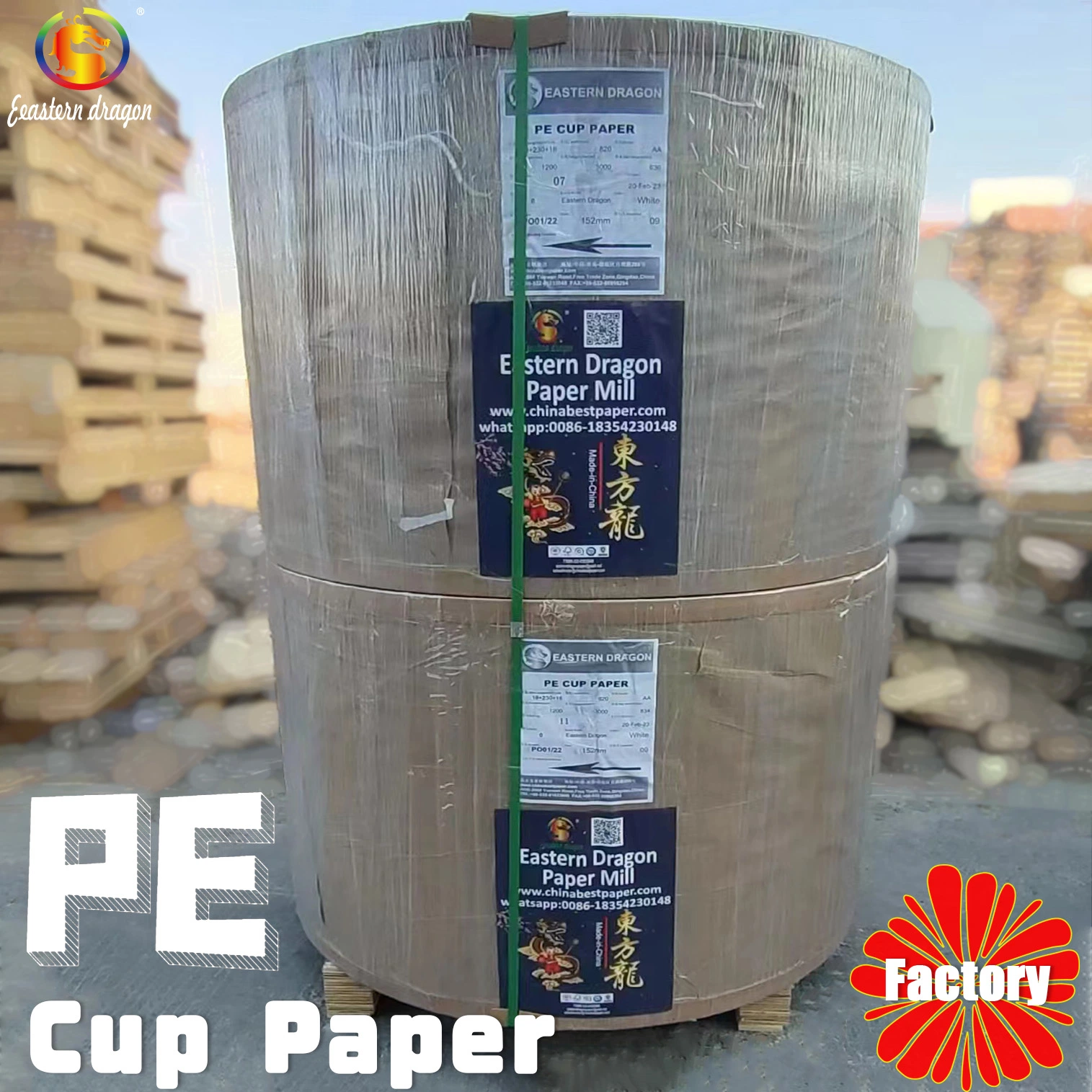 Grade AA Paper Cup Base Paper factory wholesale