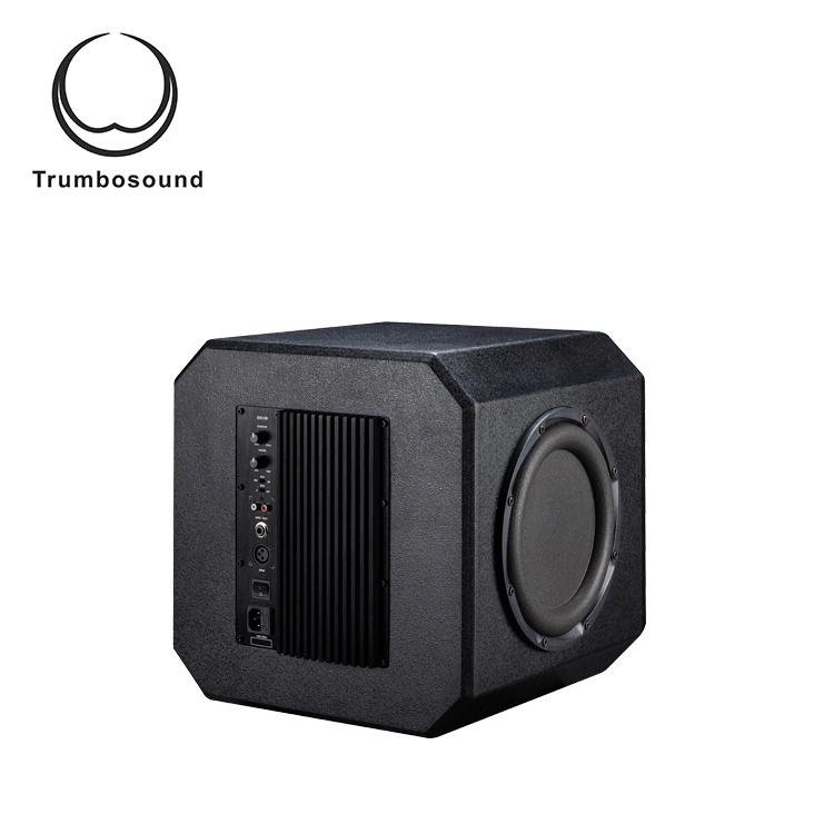 12 Inch Professional 300watt Active Audio Subwoofer for Home Theater