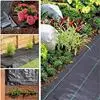 Black Agricultural PP Weed Control Mat Garden Ground Cover
