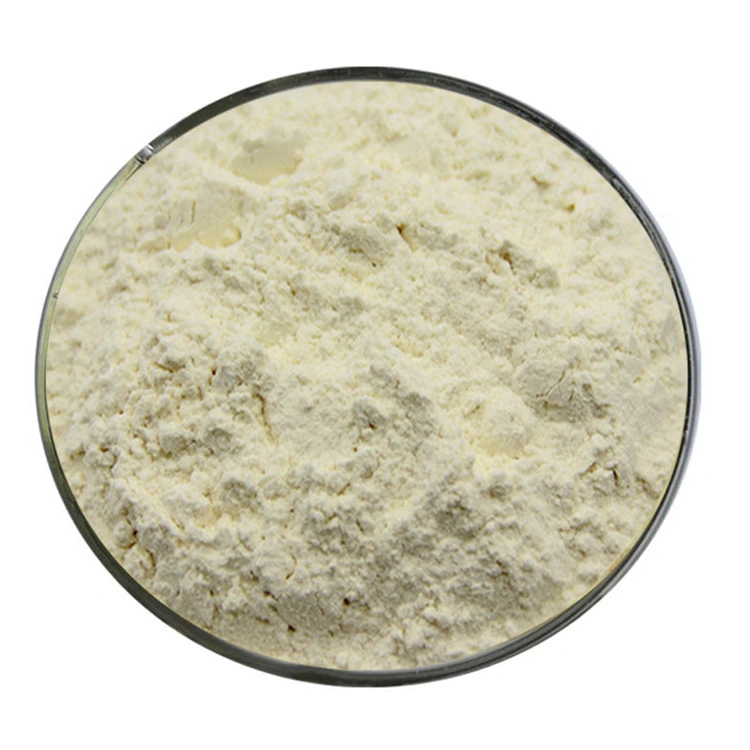 Natural Isoflavones Genistein 98% Sophora Japonica Extract Powder