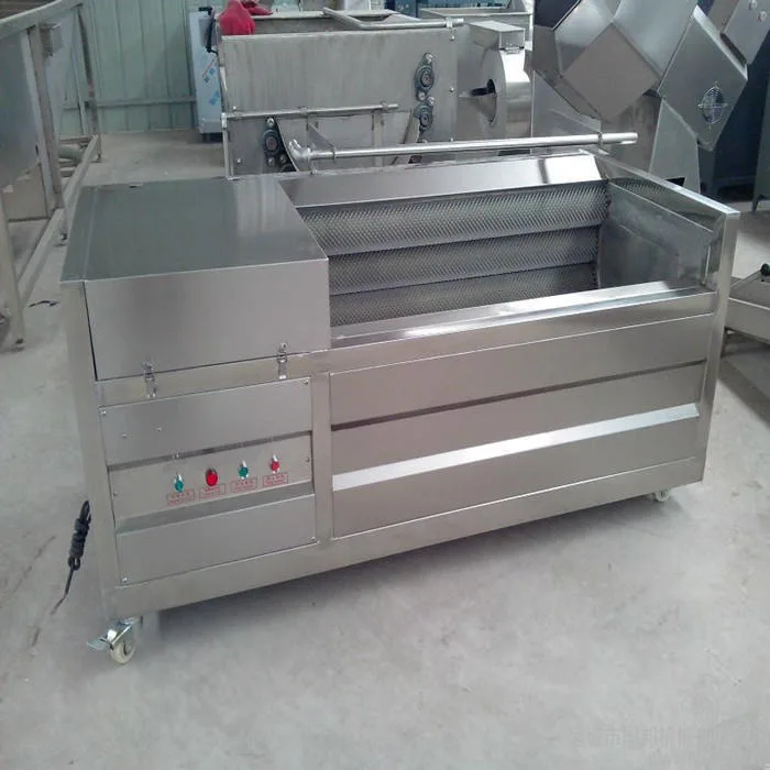 Fully Automatic Brush Type Date Palm Carrot Fruit Washer