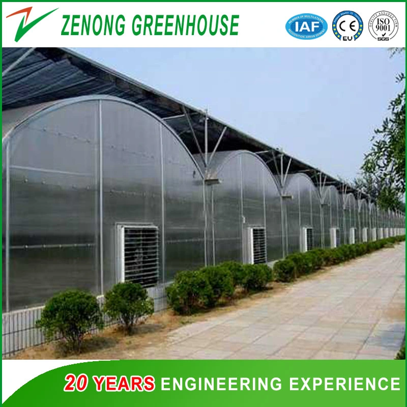 Film Greenhouse with Cooling Pad and Fan System for Cooling Down