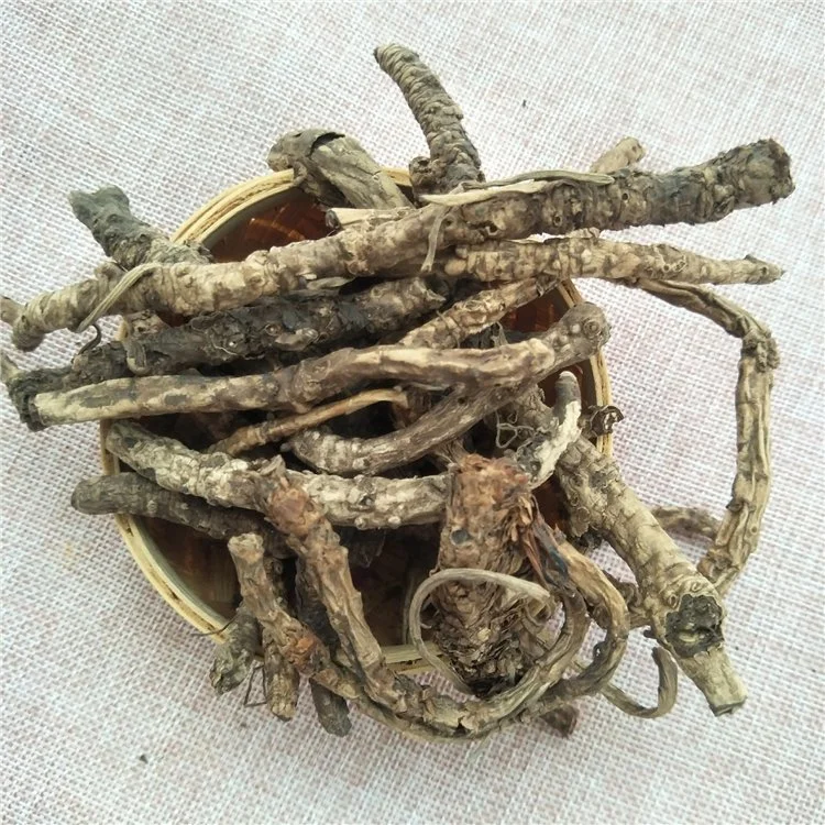 Hu Huang Lian Chinese Herbal Medicine Dry Picrorhizae Root Slice