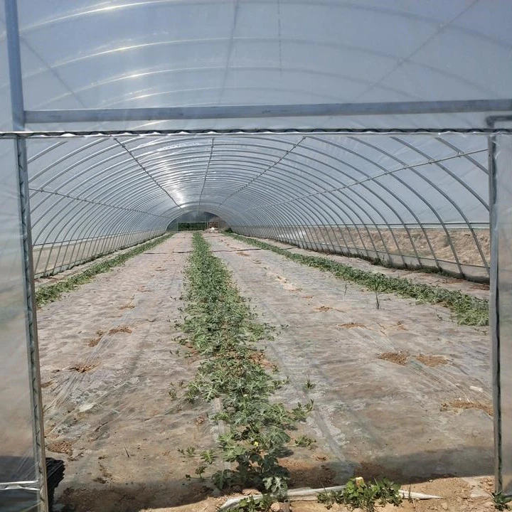 La agricultura en pequeña escala/jardín invernadero túnel película para el cultivo de hortalizas/Avicultura