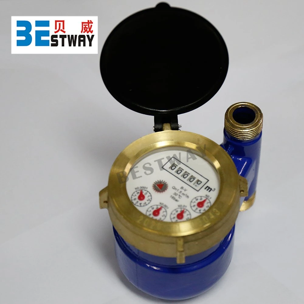 2 Years Bestway Export Carton and Pallet Steel Dry Water Meter Price