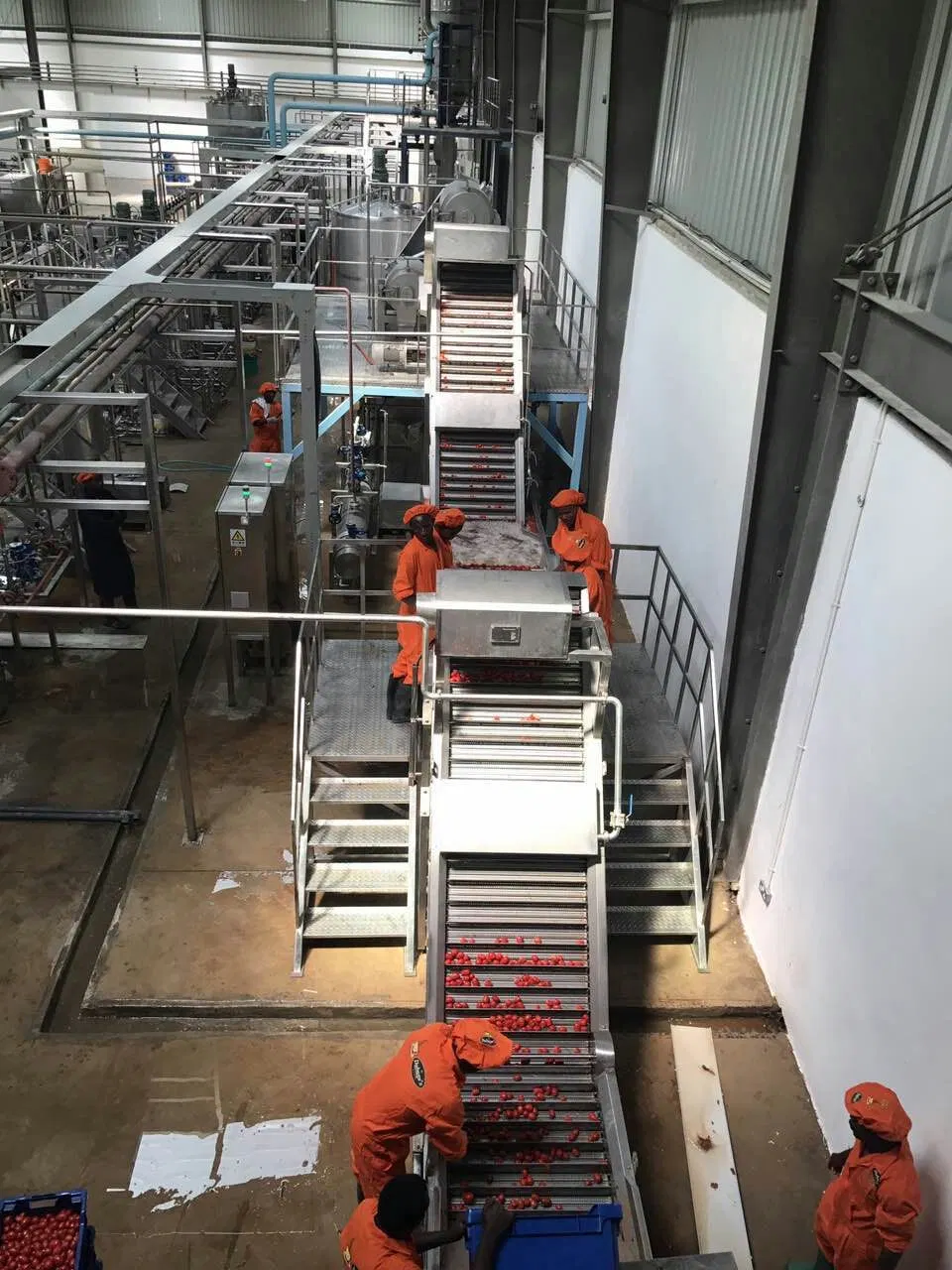 Complete set of tomato processing line