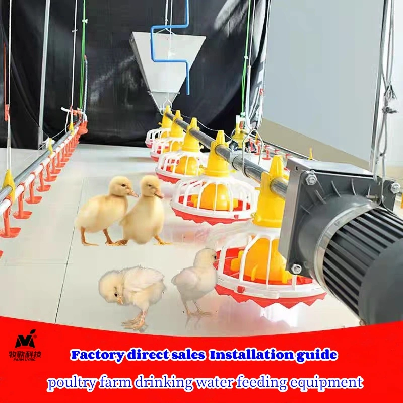 Poultry Farm Equipment for Sale in Pakistan