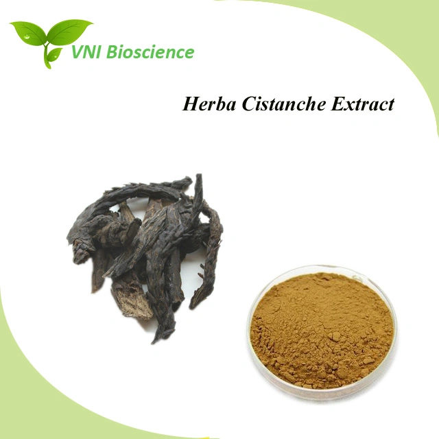 Manufacturer Supply Natural Cistanche Plant Extract with Aphrodisiac Effect