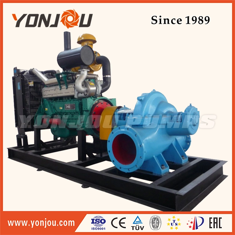 Diesel Engine Water Pump Set