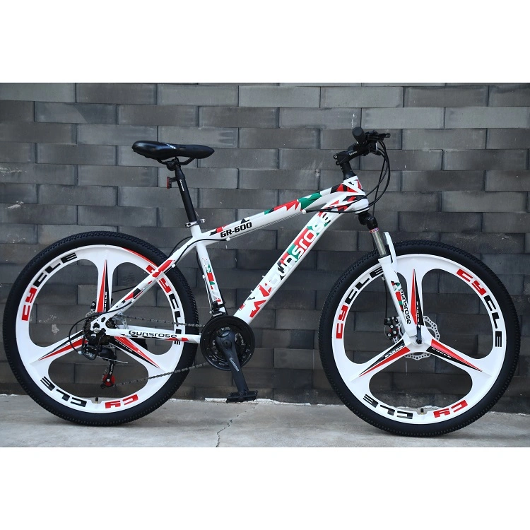 Factory Cheap Price 21 Speed Customized Adult Mountain Bicycle