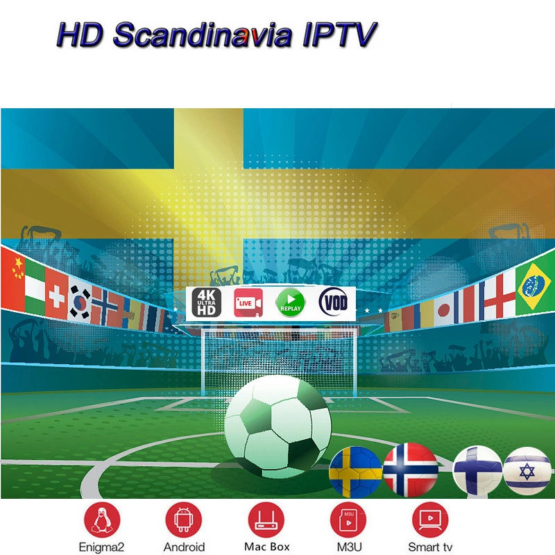 IPTV of 1 Year Subscription Livego Scandinavian Ex-Yu France Spain Spanish Poland UK Dutch IPTV for Android Box African Greek Brazil IPTV with Smart Player