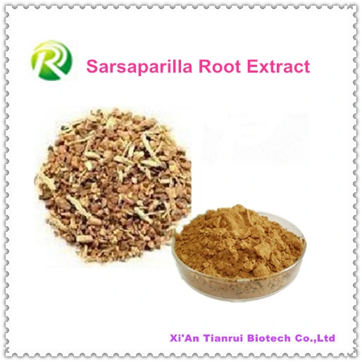High Quality 100% Natural Sarsaparilla Root Extract
