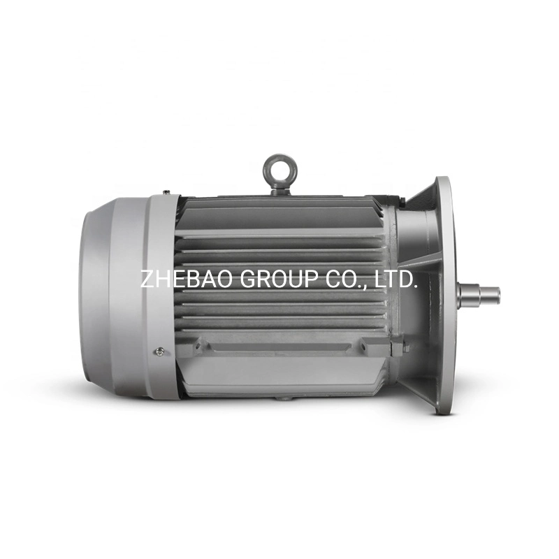 AC Induction Electric Motor IEC European Standard