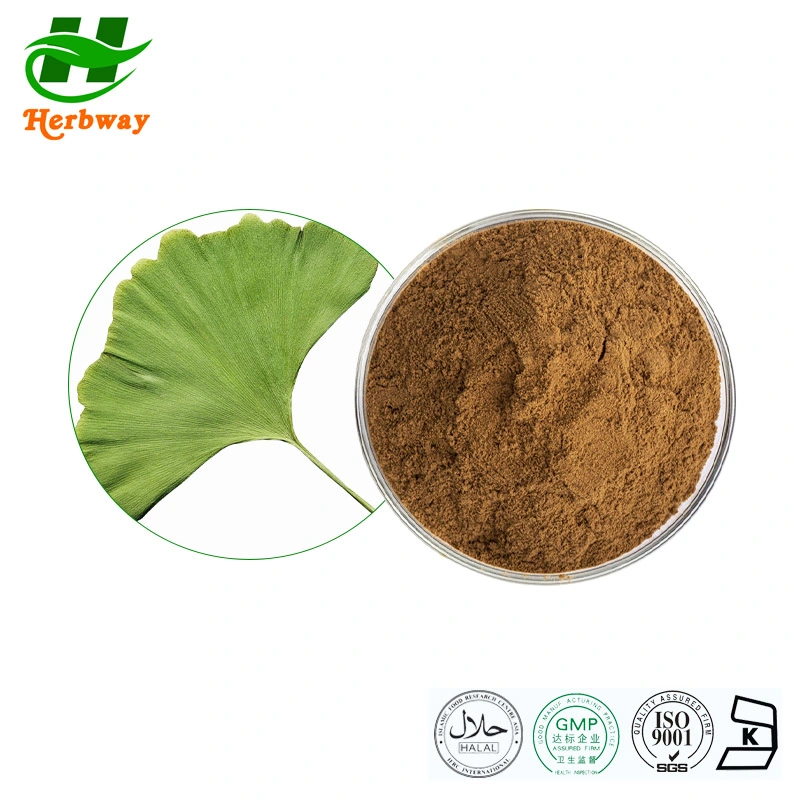 Herbway Ginkgo Biloba Extract Flavones Glycoside Ginkgo Leaf Extract Ginkgo Extract