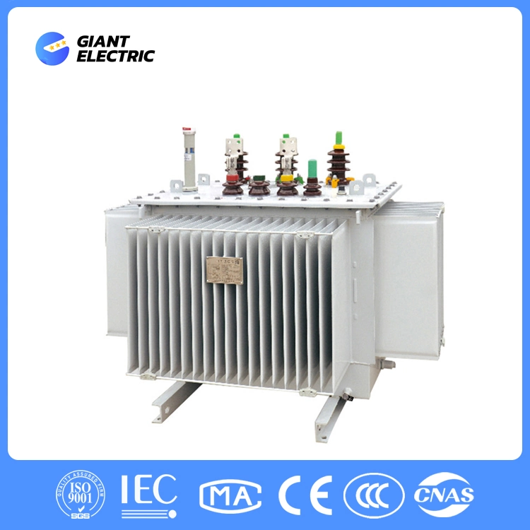 6kv~35kv 30kVA~1600kVA Three-Phase Two Winding Low Loss Oil Immersed Plane Laminated Core Transformer