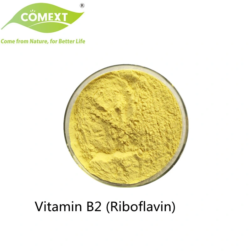 Comext Factory Venta Bulk B1 B2 B3 B5 B6 B9 B12 producto de calidad alimentaria para la salud Vitamina en polvo