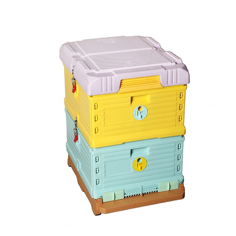 Cajas de Abejas de Miel de Abejas de plástico aisladas para la venta