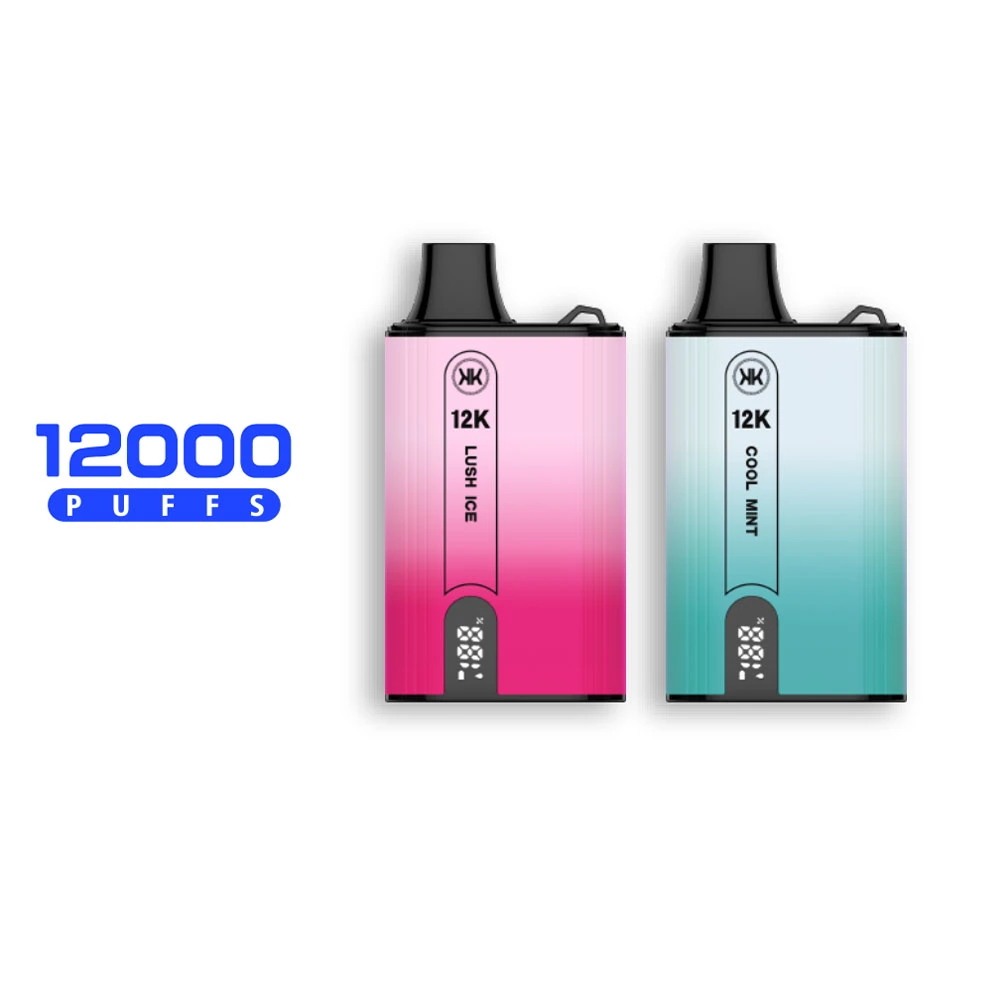 2023 USA Hot Sales 12000 Puffs Eck KK D119A con Mostrar VAPE desechable