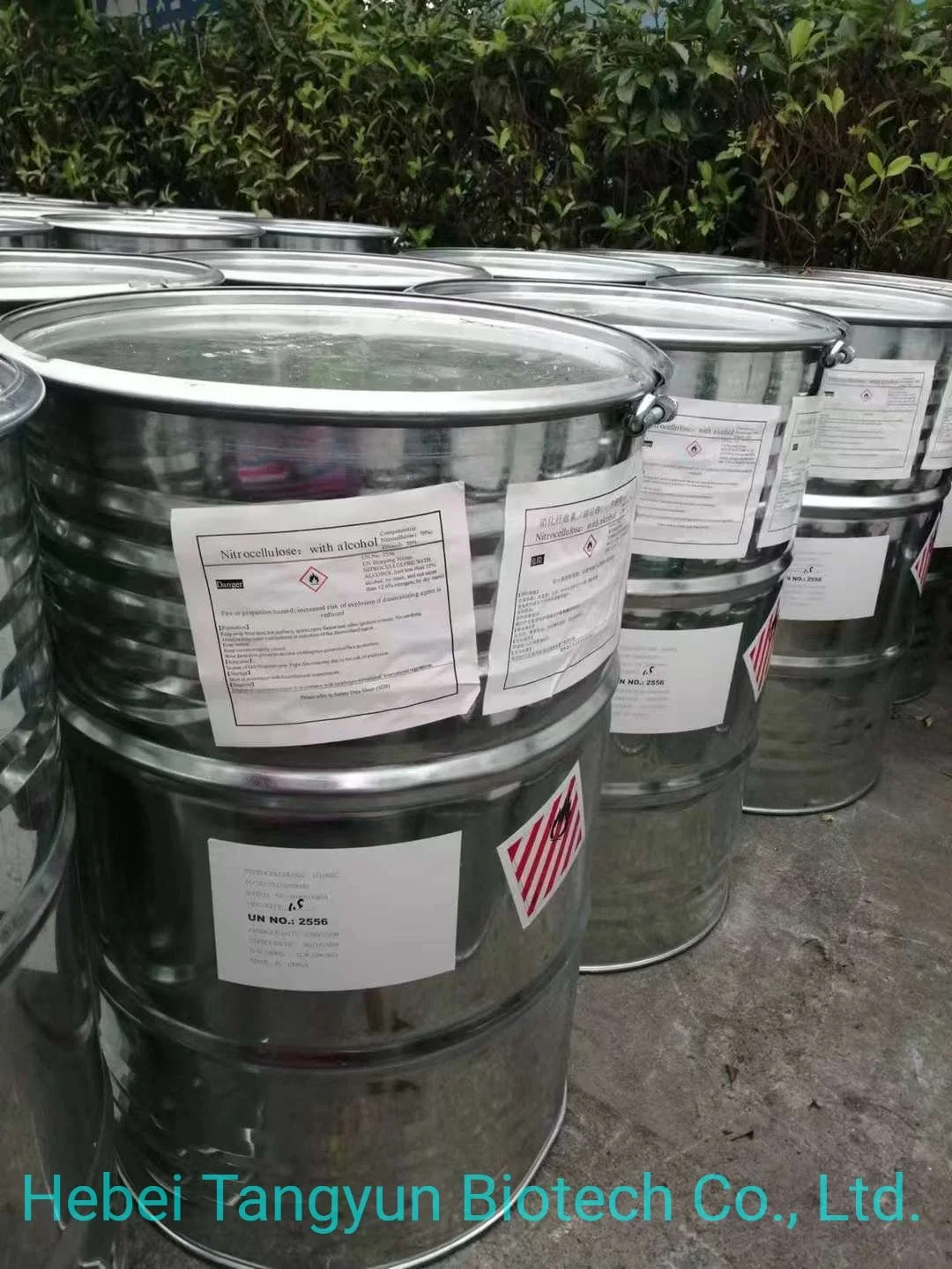 Compound Fungicide Copper Hydroxide 16.5%+Copper Oxychloride 17.5%Sc