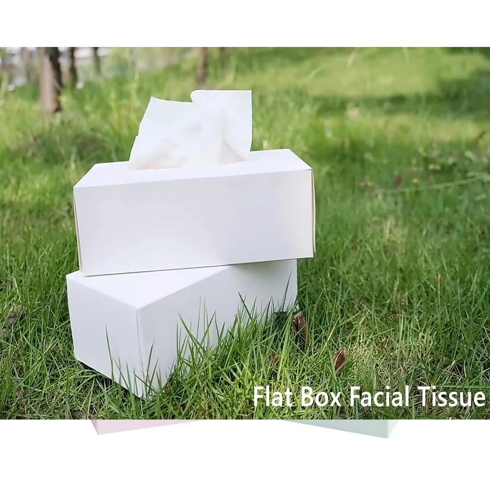 Ultra Soft Eco-Friendly Interleave Box Tissue Facial Tissue