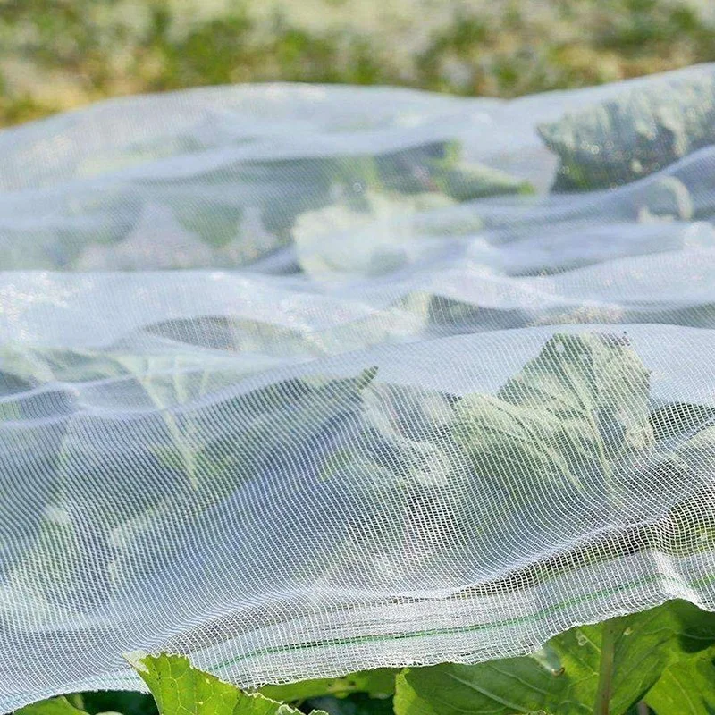 Plastic Anti Bird/Hail/Insect Plants Protection Net for Agriculture