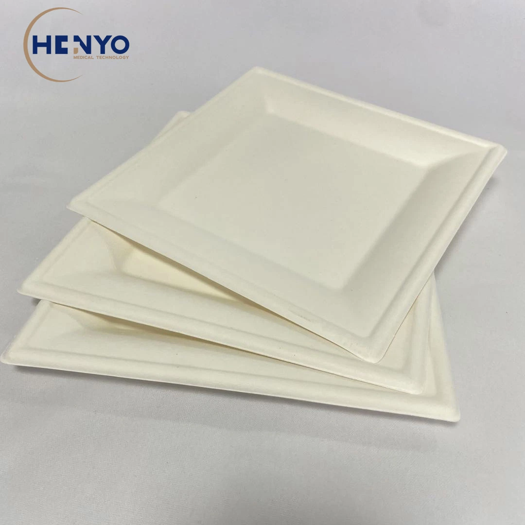 8-Inch Disposable Food Tray Eco-Friendly Biodegradable Square Food Tray