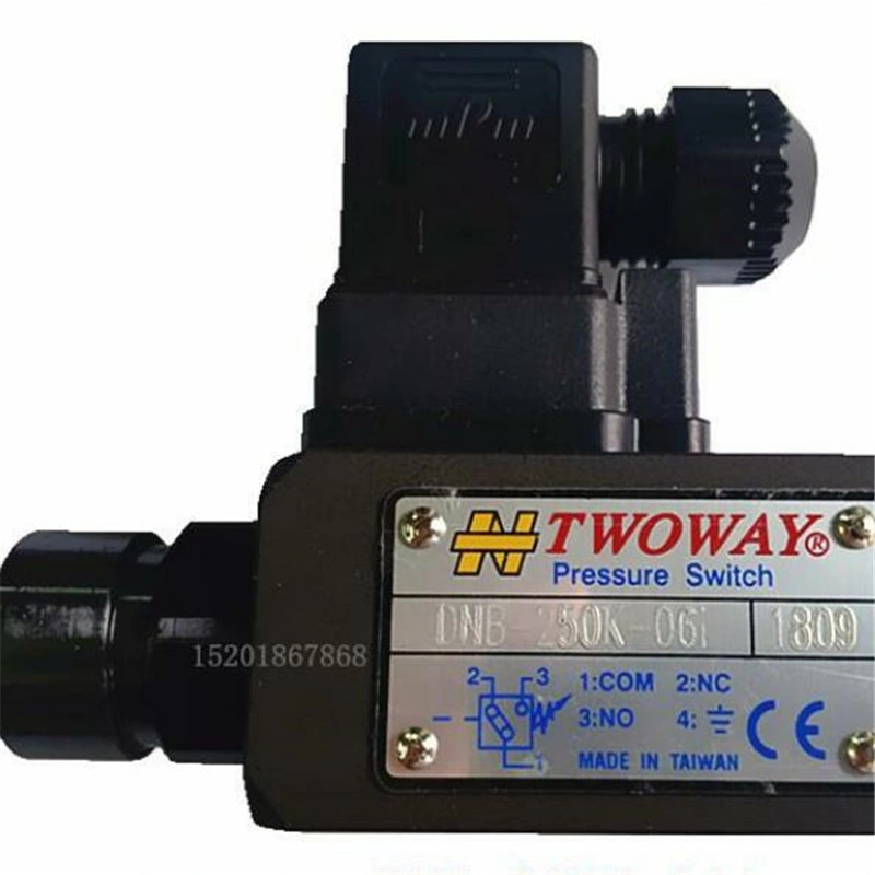 Twoway Oil-Electric Pressure Switch Dnm-02p-100K-21b,