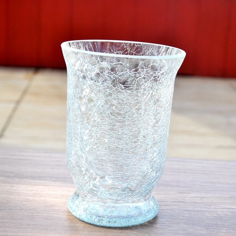 New Style Wide Mouth Clear Glass Flower Vase for Decoration