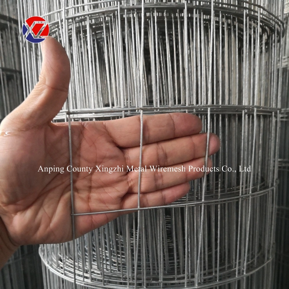 50x50mm de malla de alambre de Acero Galvanizado Alambre para cercar