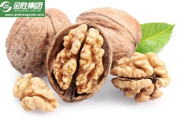 Paper Shell Walnuts Easy Crack Thin Skin Walnut Inshell