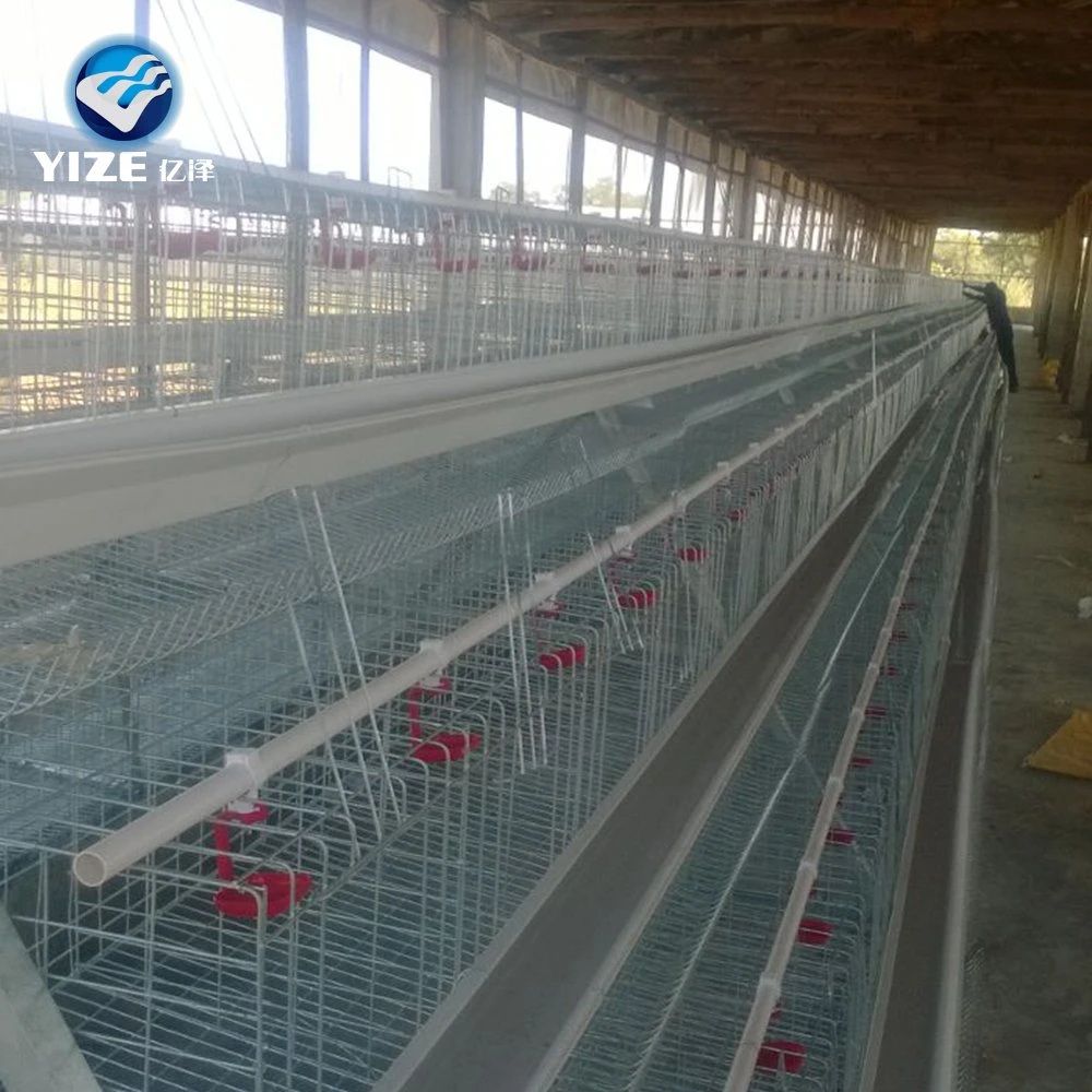 China Factory Manufacture Hot Sale Chicken Layer Cage Guangzhou