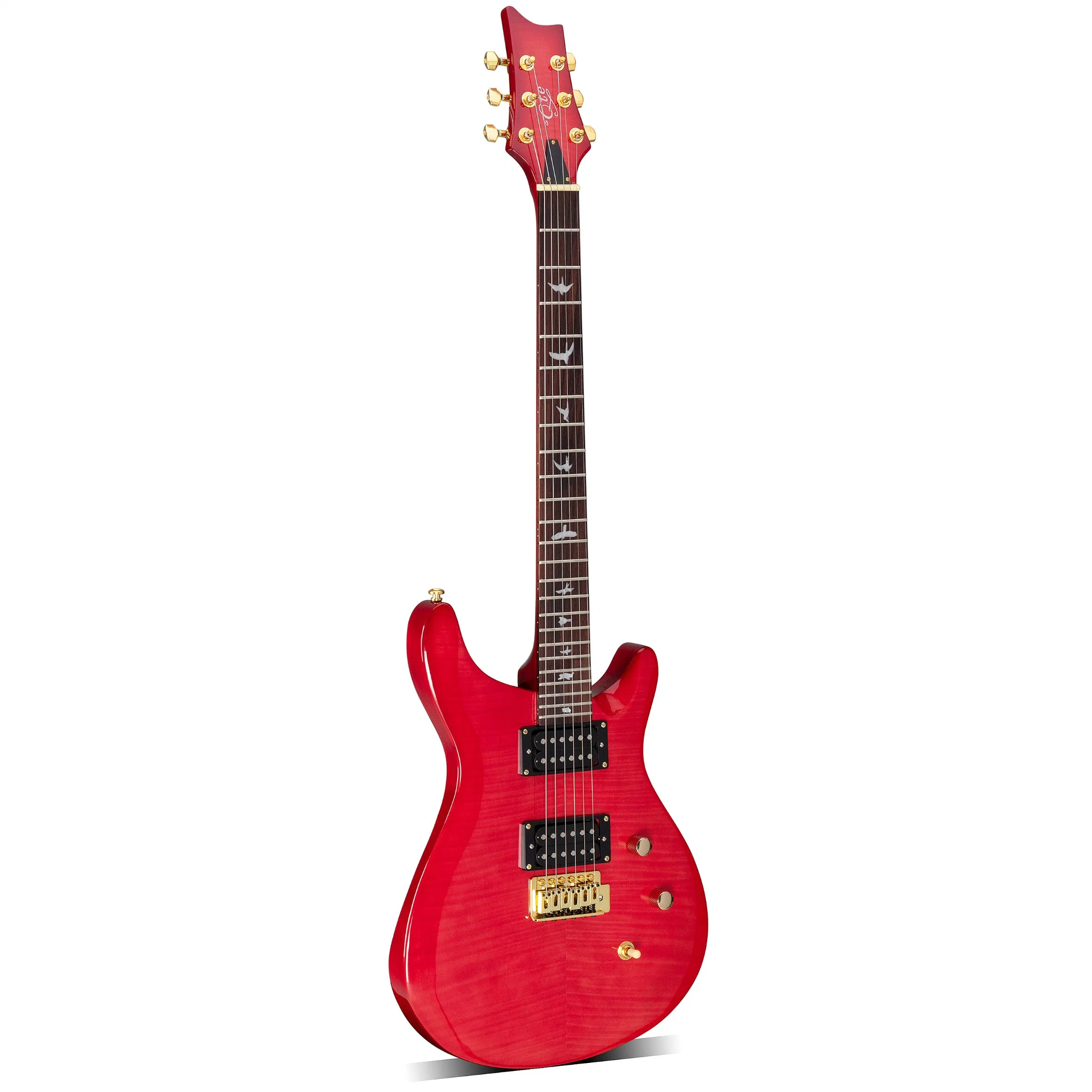 Vente en gros Custom Brand Design instruments à cordes H-S-H Pick Guitare électrique