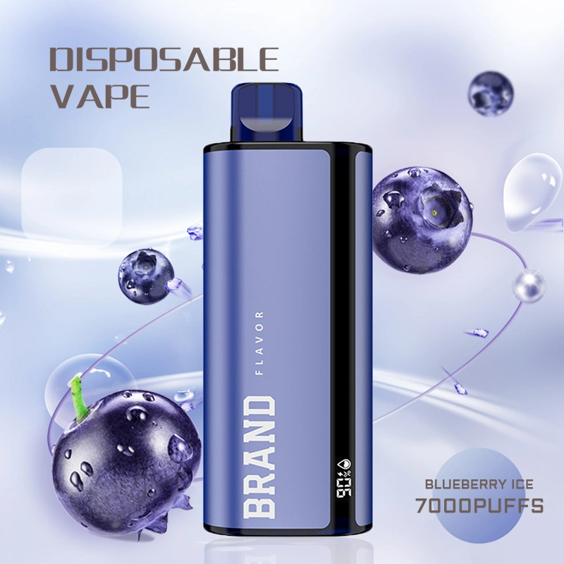 ميش كويل 7000 أطواق مافحة قلم سجائر إلكترونيّة يمكن التخلص منها قلم لوح Vapor بشاشة LED لجهاز Flavours سعة 15 مل لتيار هواء قابل لإعادة الشحن