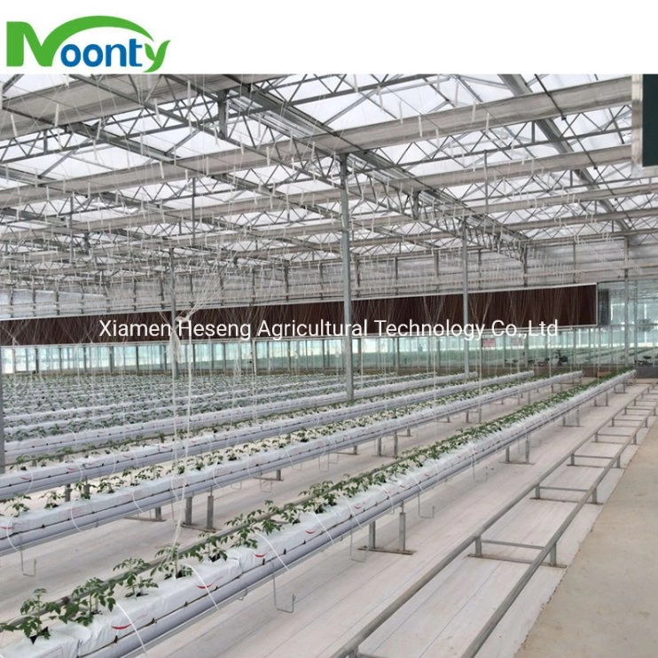 Gutter Rockwool Hydroponic Growing System with Fertilizer Coco Peat Perlite Substrate for Cherry Tomato Drip System in Greenhouse