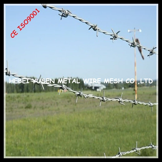 Barbed Wire for Sale Made in Hebei