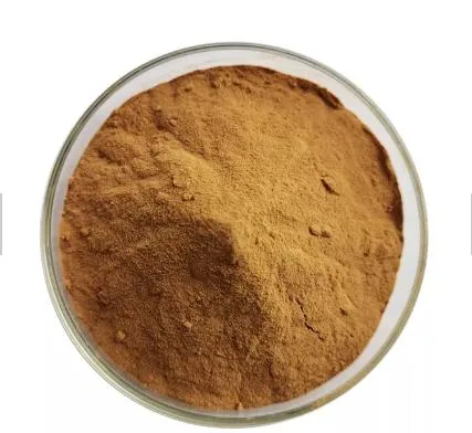 Enhance Immunity Plant Extract Ginkgo Biloba Extract Flavonoid Glycoside Powder