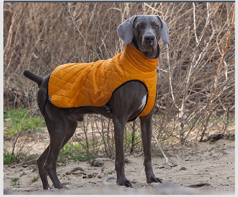Pet Clothes Dog Warm Coat Wear Pet Accessories