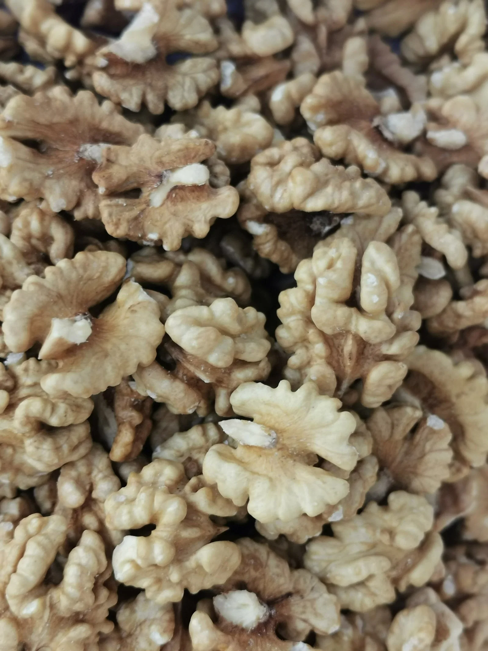 Sweet Walnuts Kernels Peeled Dried Fruits Halves Butterfly Extra Light Raw Nuts Wholesale/Supplier