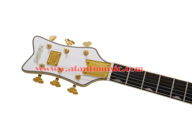 Afanti Music Hollow Body Style Electric Guitar (AGT-344)