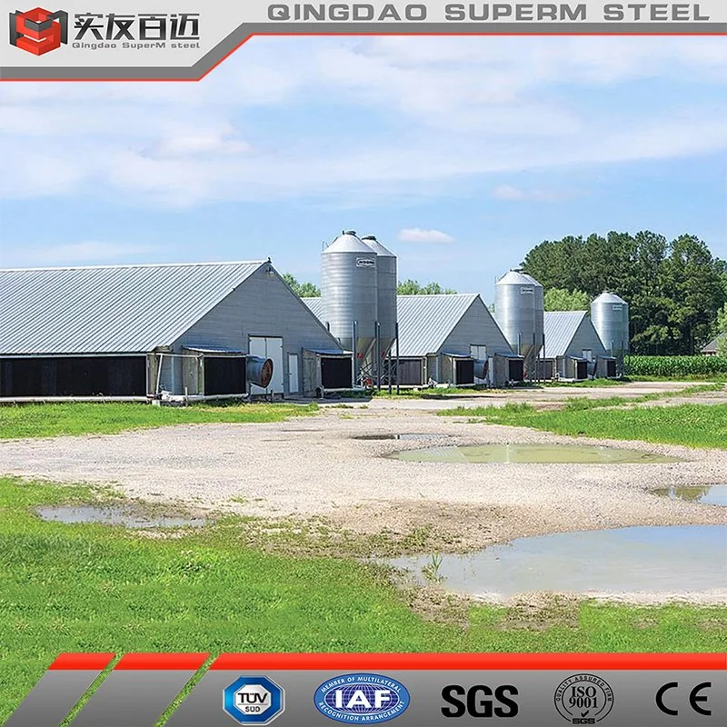 High Strength Light Steel Structure Building Poultry Chicken Broiler Farm House