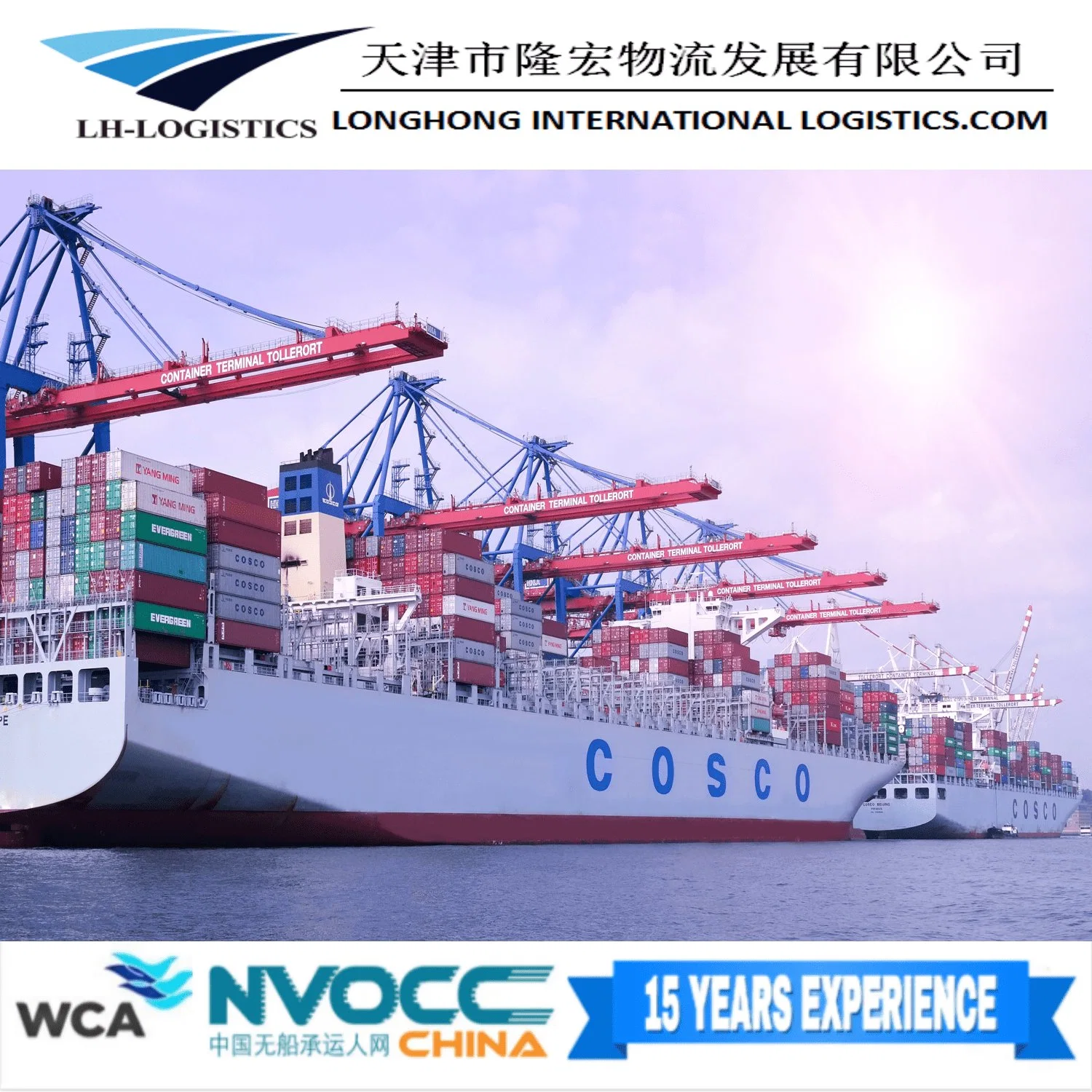 Ocean Shipping Sea Freight From Shanghai/Guangzhou/Yiwu/Ningbo to Jakarta, Southeast Asia Sea Freight 1688