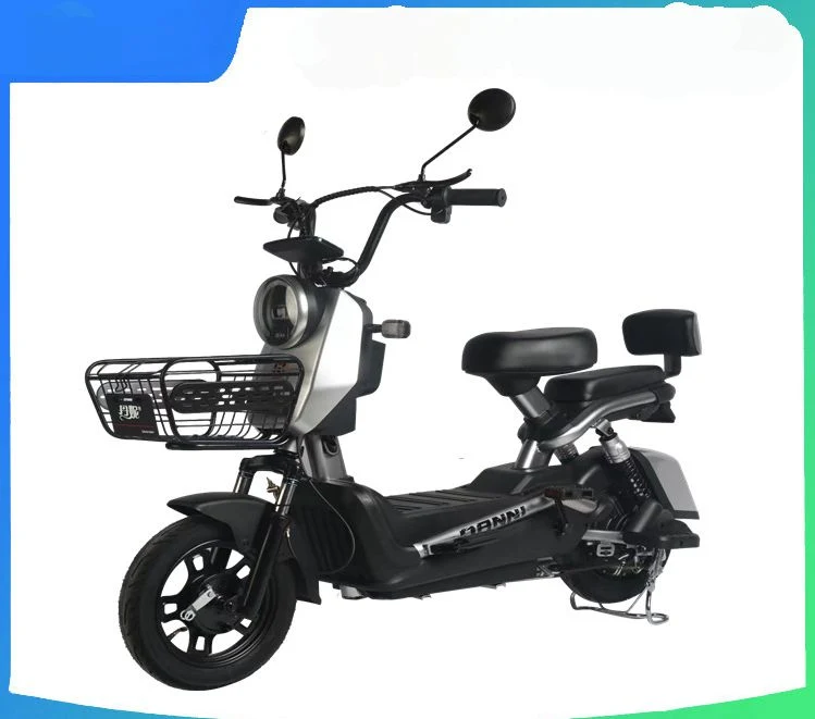 Electric Bicycle with LED Display 350W 20ah Battery/Electric Bicycle Without Inner Tire