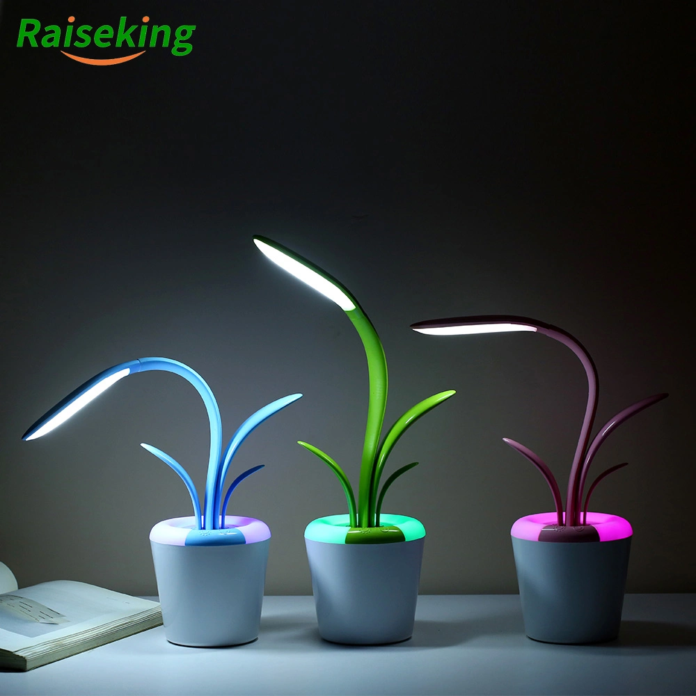 3-Level Brightness Dimmable USB Clivia Desk Lamp LED with RGB Night Light Changing with Battery Table Lamp