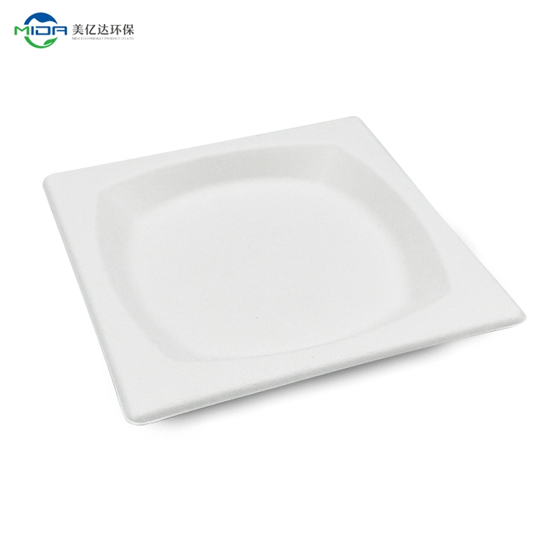Eco-Friendly Sugarcane Square Plate Biodegradable Disposable Food Container Kitchenware Tableware