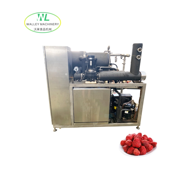 Factory Price Lyophilizer Lab Vacuum Freeze Dryer