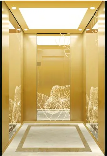 Aço inoxidável Espelho Ouro Fujixun Bela Classic elevação do passageiro