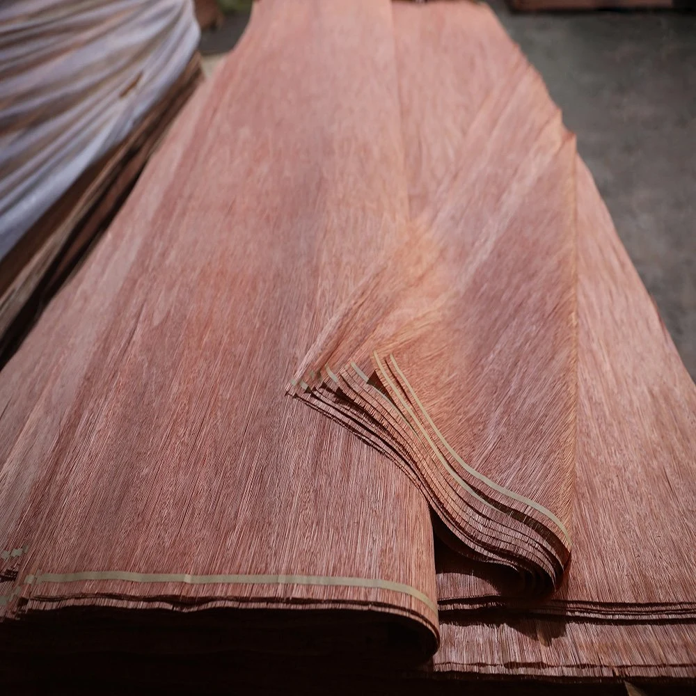 Cheap Price 3mm Wood Veneer Bintangor A Grade Rotary Cut Face Poplar Okoume Supplier