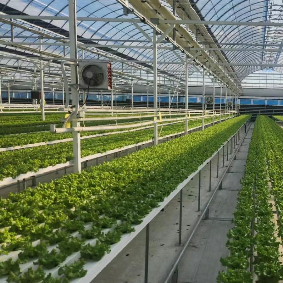 Hydroponik Vertikale Landmaschinen Hydroponische Kultivierung Nft Channel Grow System