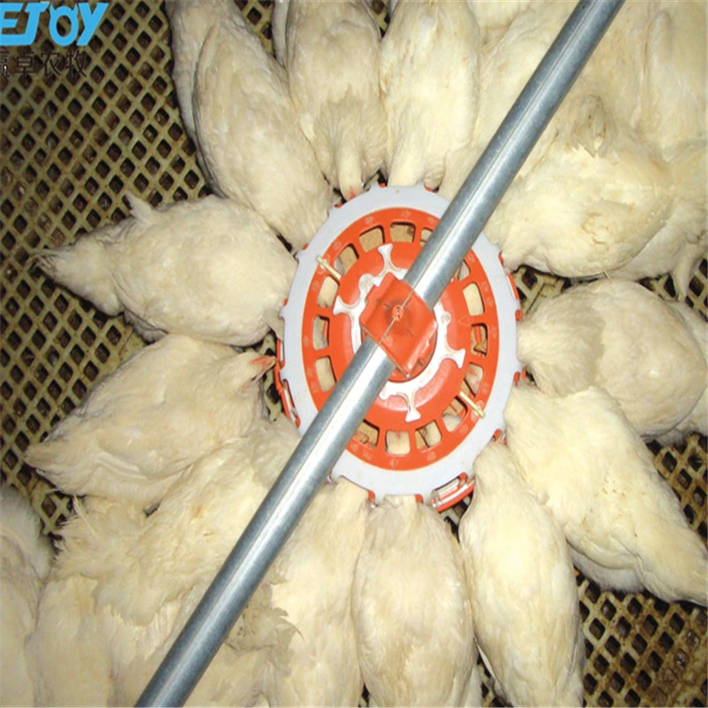 Fertighaus Hühnerstall Geflügel Farm Ausrüstung Broiler Ausrüstung Kommerzielle Broiler Zuführsystem