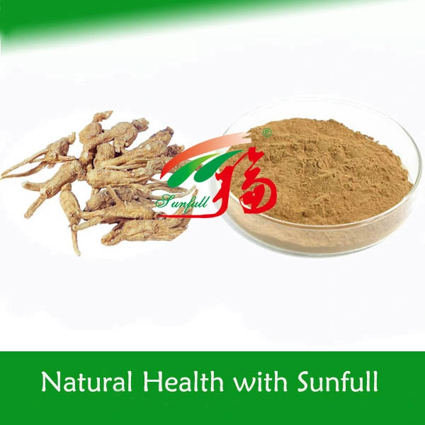 Angelica Sinensis Extract/Dong Quai Extract for Women Health